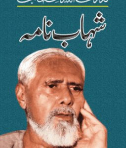 baat say baat by wasif ali wasif pdf Awami Point Books Shahab Nama 255x300