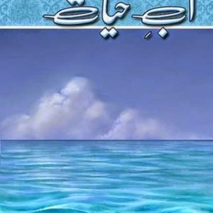 Aab e Hayat novel book PDF Free Download baat say baat by wasif ali wasif pdf Awami Point Books abe hayat book pdf free download 300x300