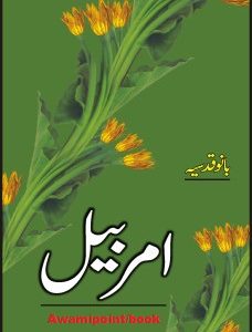 Amar Bail by Bano Qudsia Pdf Free Download zeenia sharjeel urdu novel Zeenia Sharjeel Urdu Novel pdf downlaod Amar Bail by Bano Qudsia Pdf Free Download 228x300