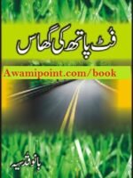 Footpath Ki Ghaas Bano Qudsia Pdf Free Download