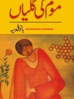 Mom Ki Galiyan By Bano Qudsia Pdf Free Download